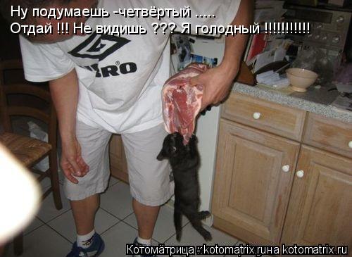 Котоматрица: Ну подумаешь -четвёртый ..... Отдай !!! Не видишь ??? Я голодный !!!!!!!!!!!