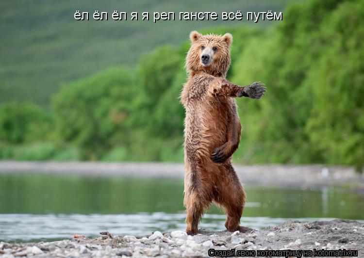 Котоматрица: ёл ёл ёл я я реп гансте всё путём