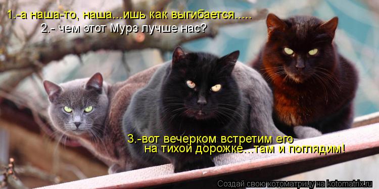 Котоматрица: 2.- чем этот Мурз лучше нас? 1.-а наша-то, наша...ишь как выгибается..... на тихой дорожке...там и поглядим! 3.-вот вечерком встретим его