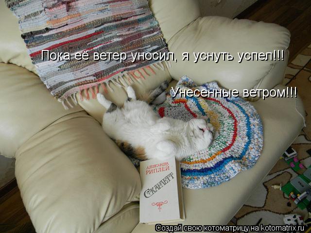 Котоматрица: Пока её ветер уносил, я уснуть успел!!! Унесенные ветром!!!