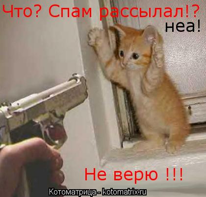 Котоматрица: Что? Спам рассылал!? неа! Не верю !!!
