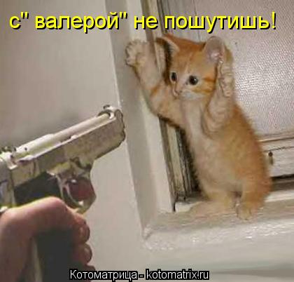 Котоматрица: с" валерой" не пошутишь!