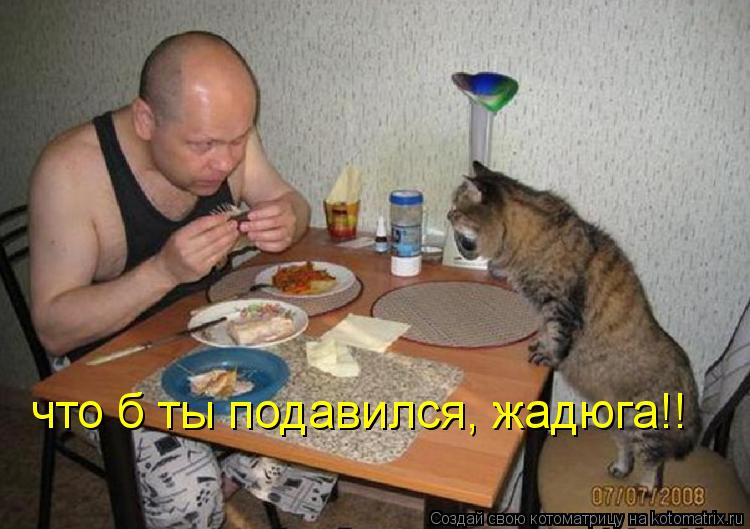 Котоматрица: что б ты подавился, жадюга!!