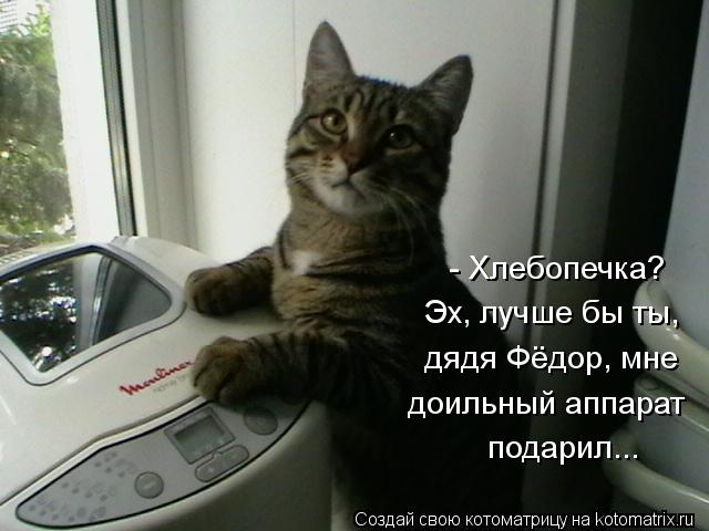 Котоматрица: - Хлебопечка? Эх, лучше бы ты, дядя Фёдор, мне доильный аппарат подарил...