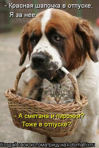 Котоматрица: - Красная шапочка в отпуске, Я за нее - А сметана и пирожки? Тоже в отпуске?