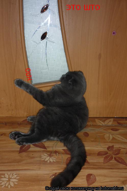 Котоматрица: ЭТО ШТО НЛО