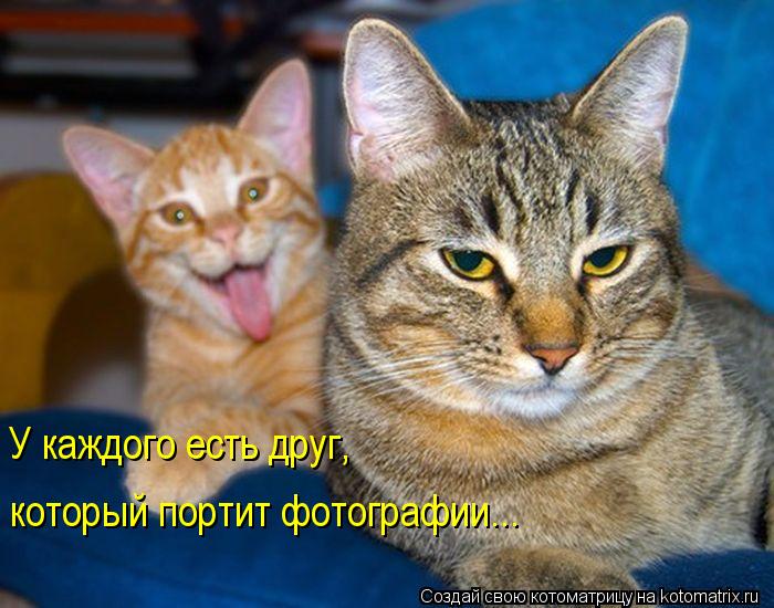 Котоматрица: У каждого есть друг,  который портит фотографии...