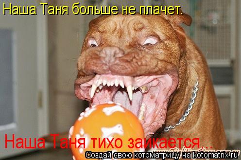Котоматрица: Наша Таня больше не плачет. Наша Таня тихо заикается...