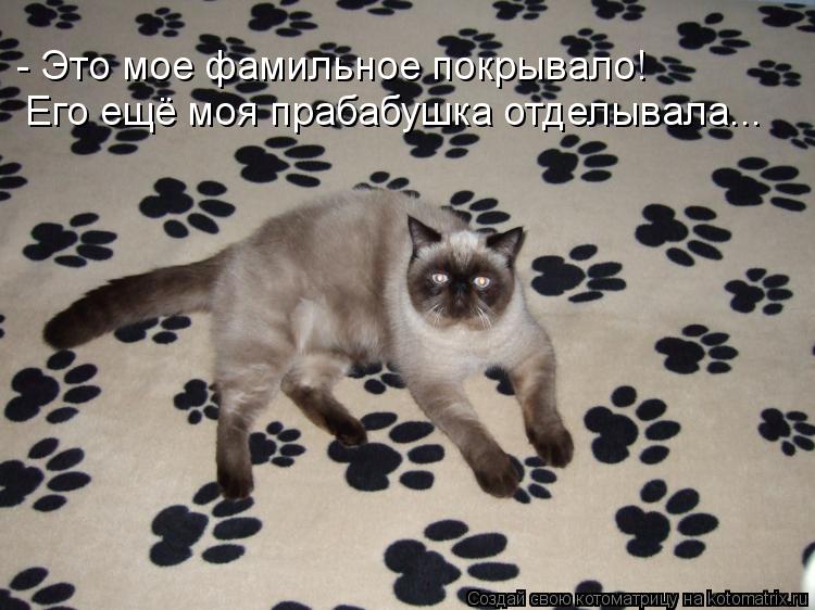 - Это мое фамильное покрывало! Его ещё моя прабабушка отделывала...... Котоматрица: - Это мое фамильное покрывало! Его ещё моя прабабушка отделывала...