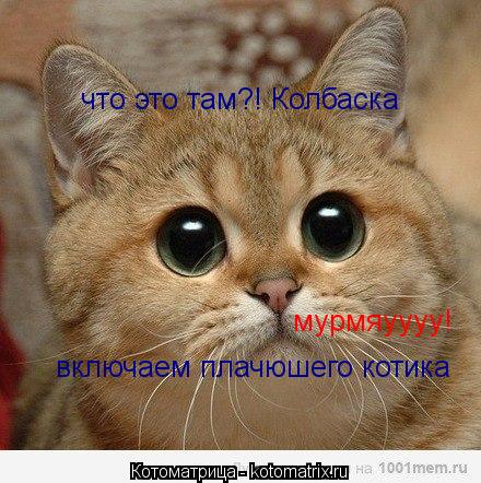 Котоматрица: что это там?! Колбаска что это там?! Колбаска включаем плачюшего котика мурмяуууу!