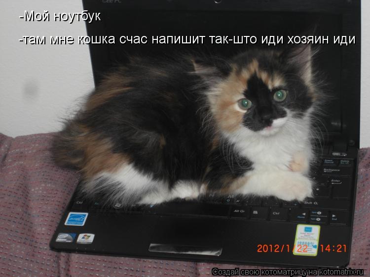 Котоматрица: -Мой ноутбук,там счас мне кошачька на пишет так-што иди хозяин -Мой ноутбук -там мне кошка счас напишит так-што иди хозяин иди