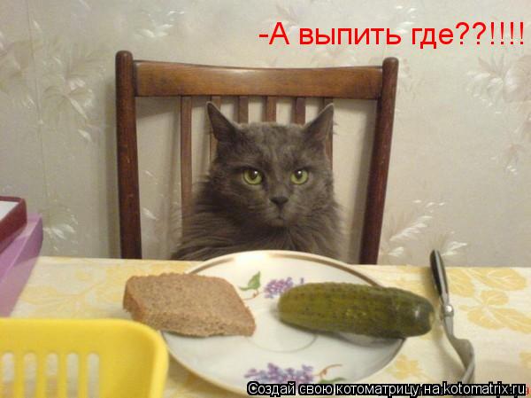 Котоматрица: -А выпить где??!!!!