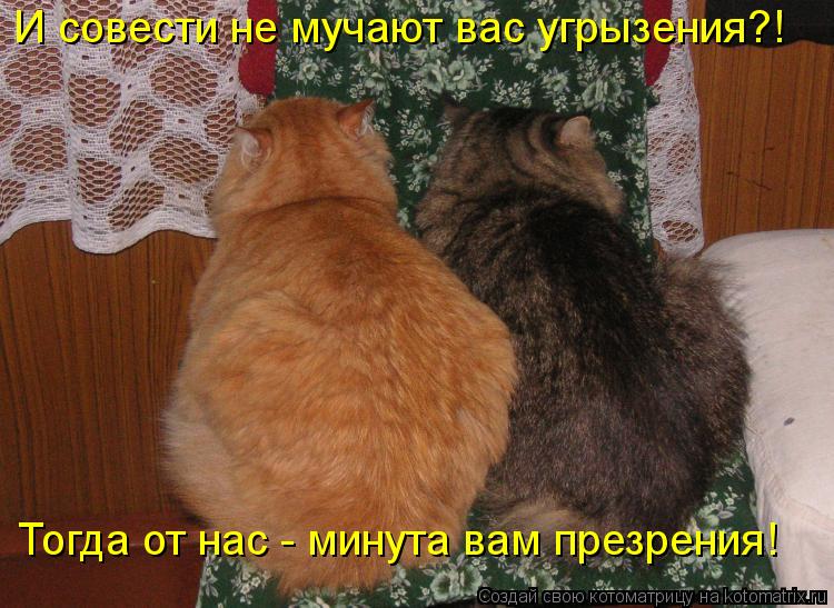 И совести не мучают вас угрызения?! Тогда от нас - минута вам презрения!... Котоматрица: И совести не мучают вас угрызения?! Тогда от нас - минута вам презрения!