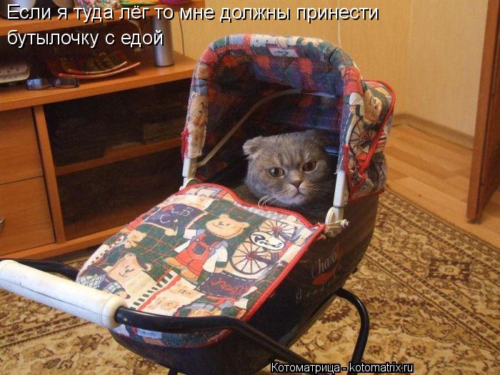 Котоматрица: Если я туда лёг то мне должны принести  бутылочку с едой