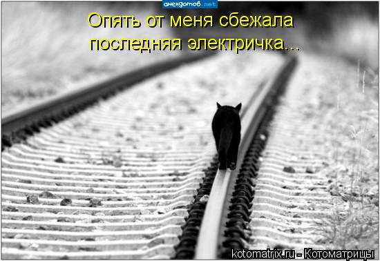 Котоматрица: Опять от меня сбежала  последняя электричка...