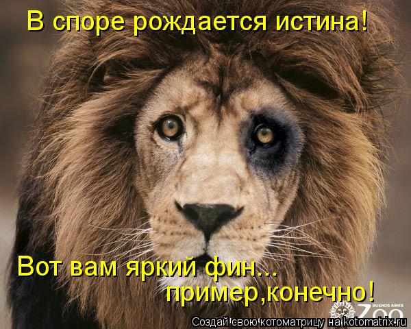 В споре рождается истина! Вот вам яркий фин... пример,конечно!... Котоматрица: В споре рождается истина! Вот вам яркий фин... пример,конечно!