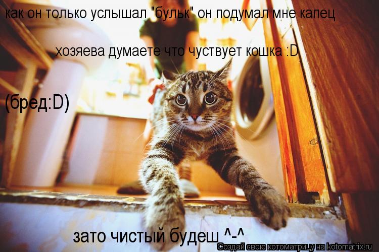 Котоматрица: как он только услышал "бульк" он подумал мне капец хозяева думаете что чуствует кошка :D зато чистый будеш ^-^ (бред:D)