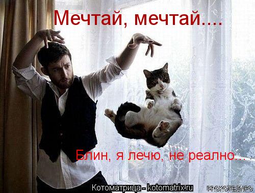 Котоматрица: Блин, я лечю, не реално... Мечтай, мечтай....