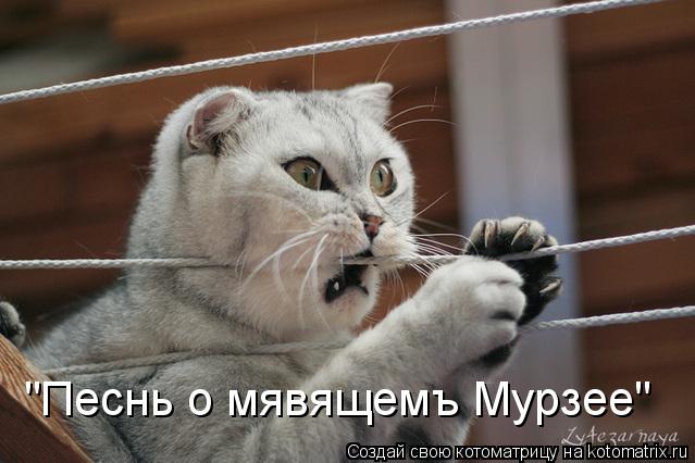 Котоматрица: "Песнь о мявящемъ Мурзее"