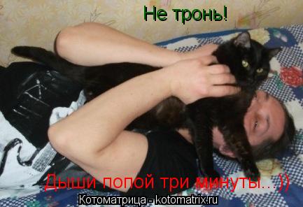 Котоматрица: Не тронь! Дыши попой три минуты...))