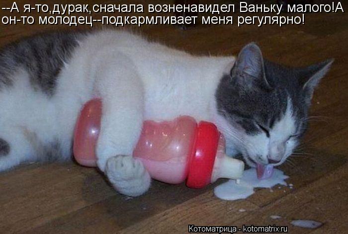Котоматрица: --А я-то,дурак,сначала возненавидел Ваньку малого!А он-то молодец--подкармливает меня регулярно!
