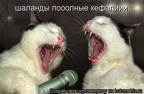Котоматрица: шаланды пооолные кефалиии..