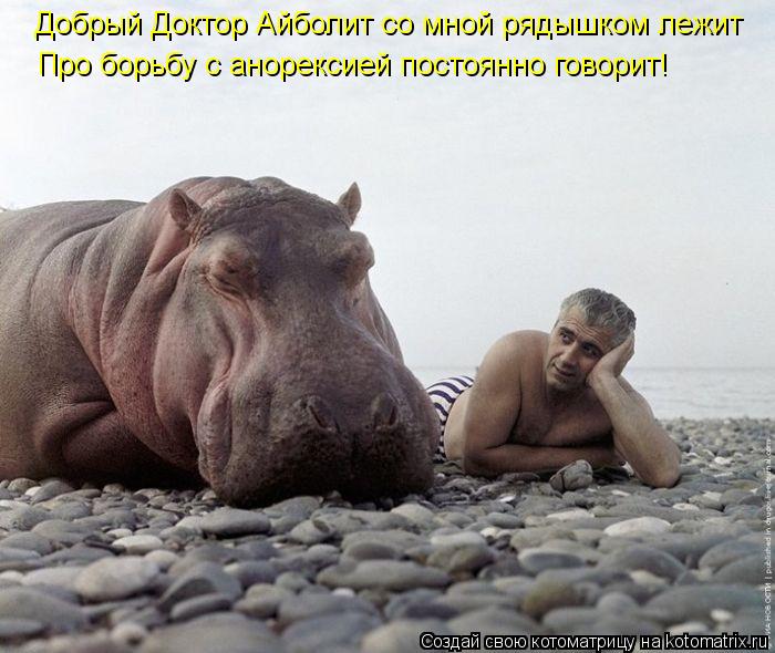 Котоматрица: Добрый Доктор Айболит со мной рядышком лежит Про борьбу с анорексией постоянно говорит!
