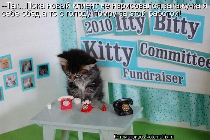 Котоматрица: --Так...Пока новый клиент не нарисовался,закажу-ка я себе обед,а то с голоду помру за этой работой!