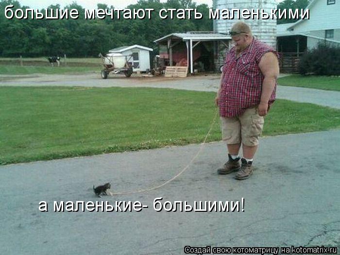 Котоматрица: большие мечтают стать маленькими а маленькие- большими!