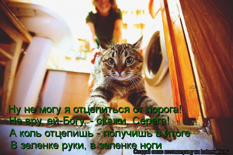 Котоматрица: Ну не могу я отцепиться от порога! Не вру, ей-Богу, - скажи, Серега! А коль отцепишь - получишь в итоге В зеленке руки, в зеленке ноги