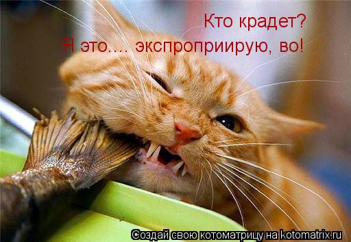 Котоматрица: Кто крадет? Я это.... экспроприирую, во!