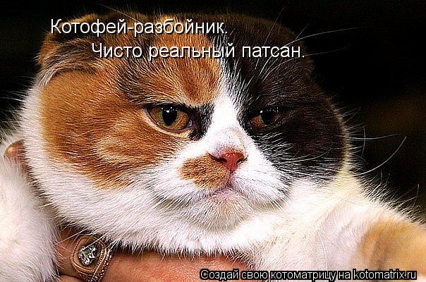Котоматрица: Котофей-разбойник. Чисто реальный патсан.