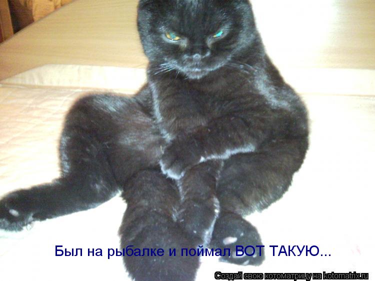 Котоматрица: Был на рыбалке и поймал ВОТ ТАКУЮ...