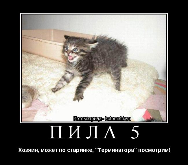 Котоматрица: ПИЛА 5 Хозяин, может по старинке, "Терминатора" посмотрим!