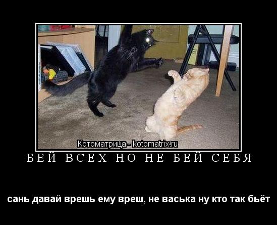 бей всех но не бей себя сань давай врешь ему вреш, не васька ну кто так бьёт... Котоматрица: бей всех но не бей себя сань давай врешь ему вреш, не васька ну кто так бьёт