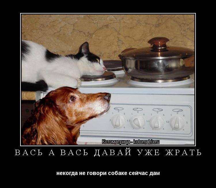 вась а вась давай уже жрать некогда не говори собаке сейчас дам... Котоматрица: вась а вась давай уже жрать некогда не говори собаке сейчас дам