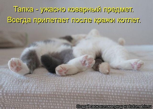 Тапка - ужасно коварный предмет. Всегда прилетает после кражи котлет.... Котоматрица: Тапка - ужасно коварный предмет. Всегда прилетает после кражи котлет.