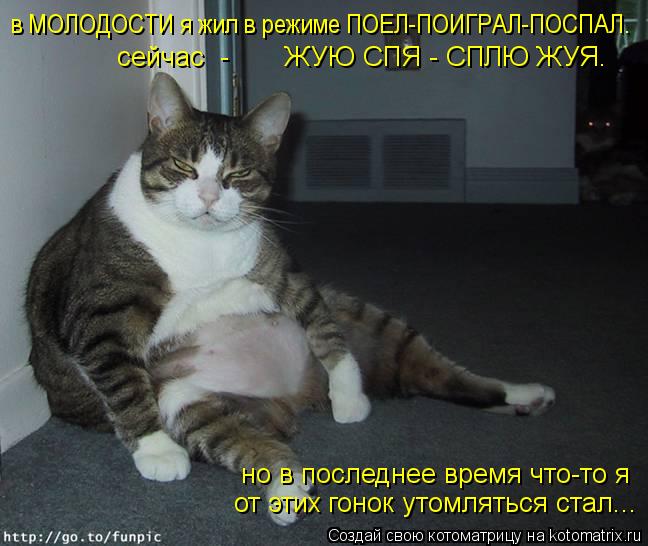 Котоматрица: в МОЛОДОСТИ я жил в режиме ПОЕЛ-ПОИГРАЛ-ПОСПАЛ. сейчас  -       ЖУЮ СПЯ - СПЛЮ ЖУЯ. от этих гонок утомляться стал... но в последнее время что-то я
