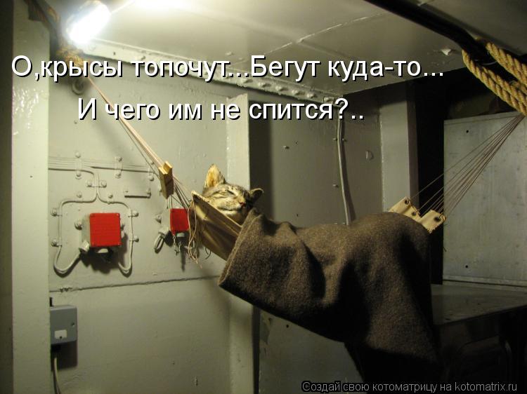 Котоматрица: И чего им не спится?.. О,крысы топочут...Бегут куда-то...