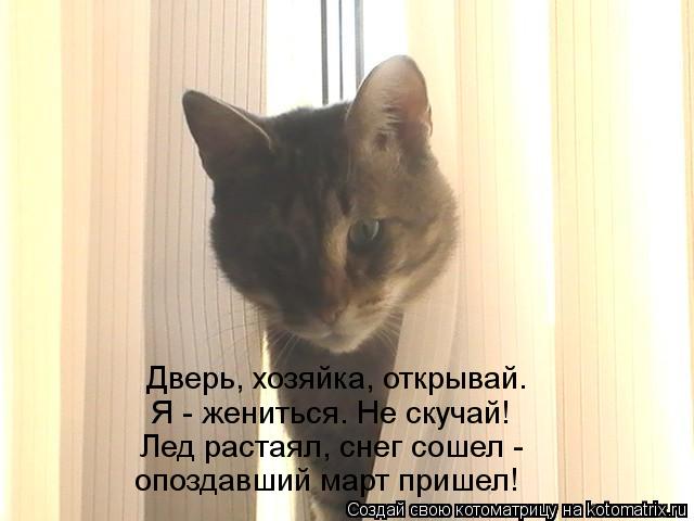 Котоматрица: Дверь, хозяйка, открывай. Я - жениться. Не скучай! Лед растаял, снег сошел -  опоздавший март пришел!