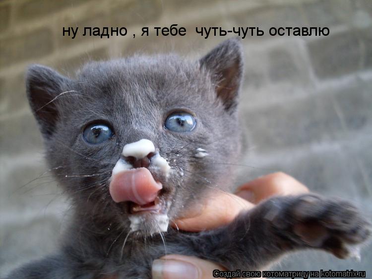 Котоматрица: ну ладно , я тебе  чуть-чуть оставлю