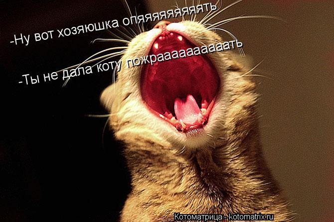 Котоматрица: -Ну вот хозяюшка опяяяяяяяяять -Ты не дала коту пожраааааааааать