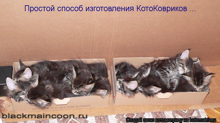 Котоматрица: Простой способ изготовления КотоКовриков ...