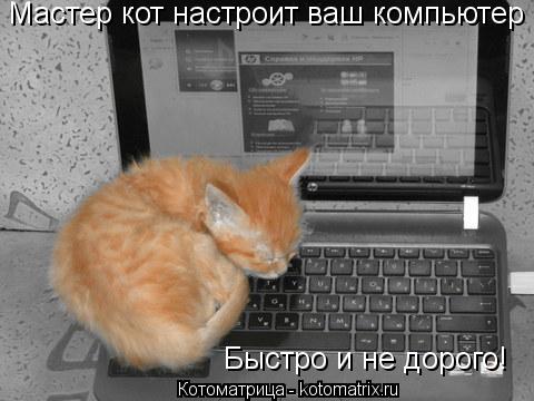 Котоматрица: Быстро и не дорого! Мастер кот настроит ваш компьютер