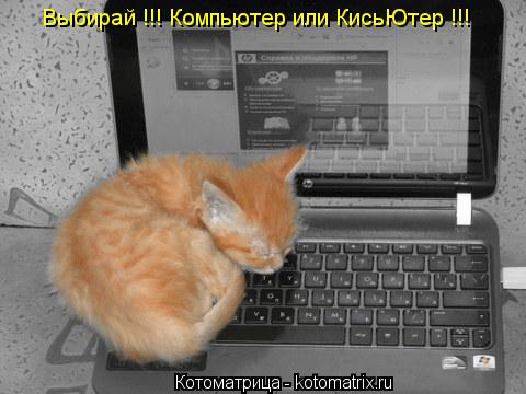 Котоматрица: Выбирай !!! Компьютер или КисьЮтер !!!