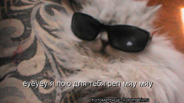 Котоматрица: ёуёуёу я пою для тебя реп мяу мяу