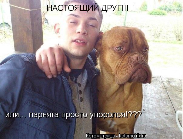 Котоматрица: НАСТОЯЩИЙ ДРУГ!!! или... парняга просто упоролся!???