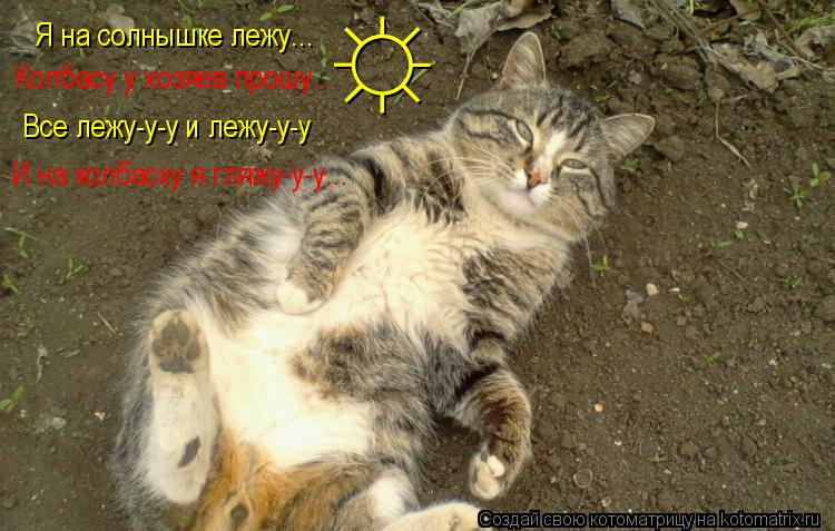 Котоматрица: Я на солнышке лежу... Колбасу у хозяев прошу... Все лежу-у-у и лежу-у-у И на колбаску я гляжу-у-у... &#9788;