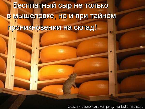 Котоматрица: Бесплатный сыр не только в мышеловке, но и при тайном проникновении на склад!