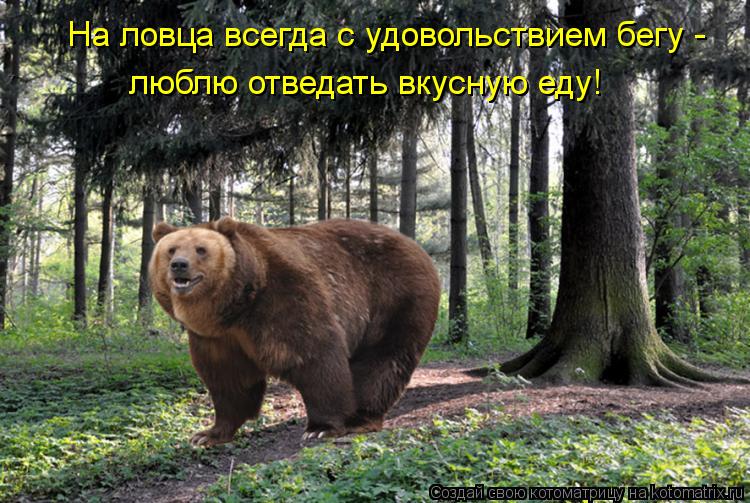 На ловца всегда с удовольствием бегу - люблю отведать вкусную еду!... Котоматрица: На ловца всегда с удовольствием бегу - люблю отведать вкусную еду!